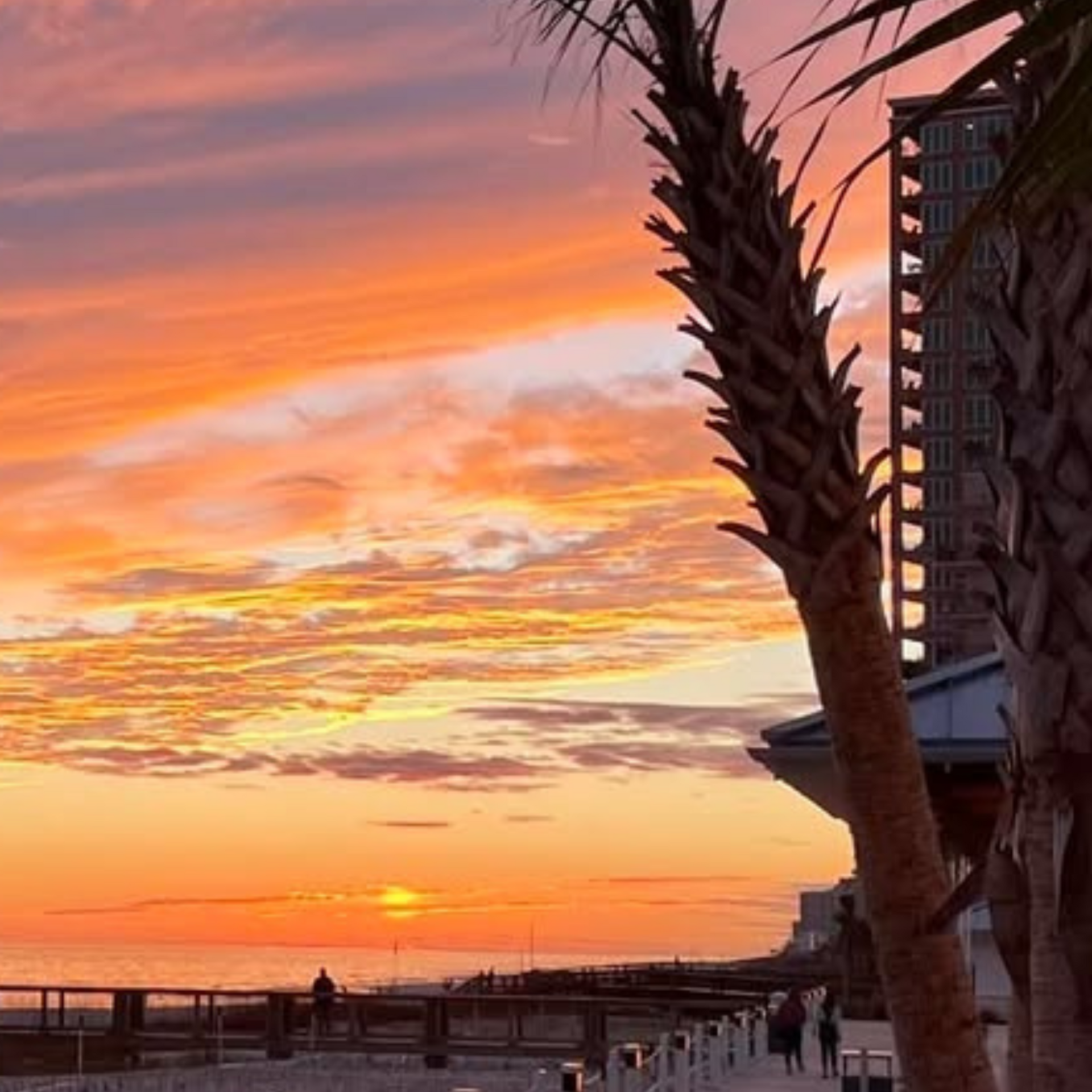 Coastal Orange Beach