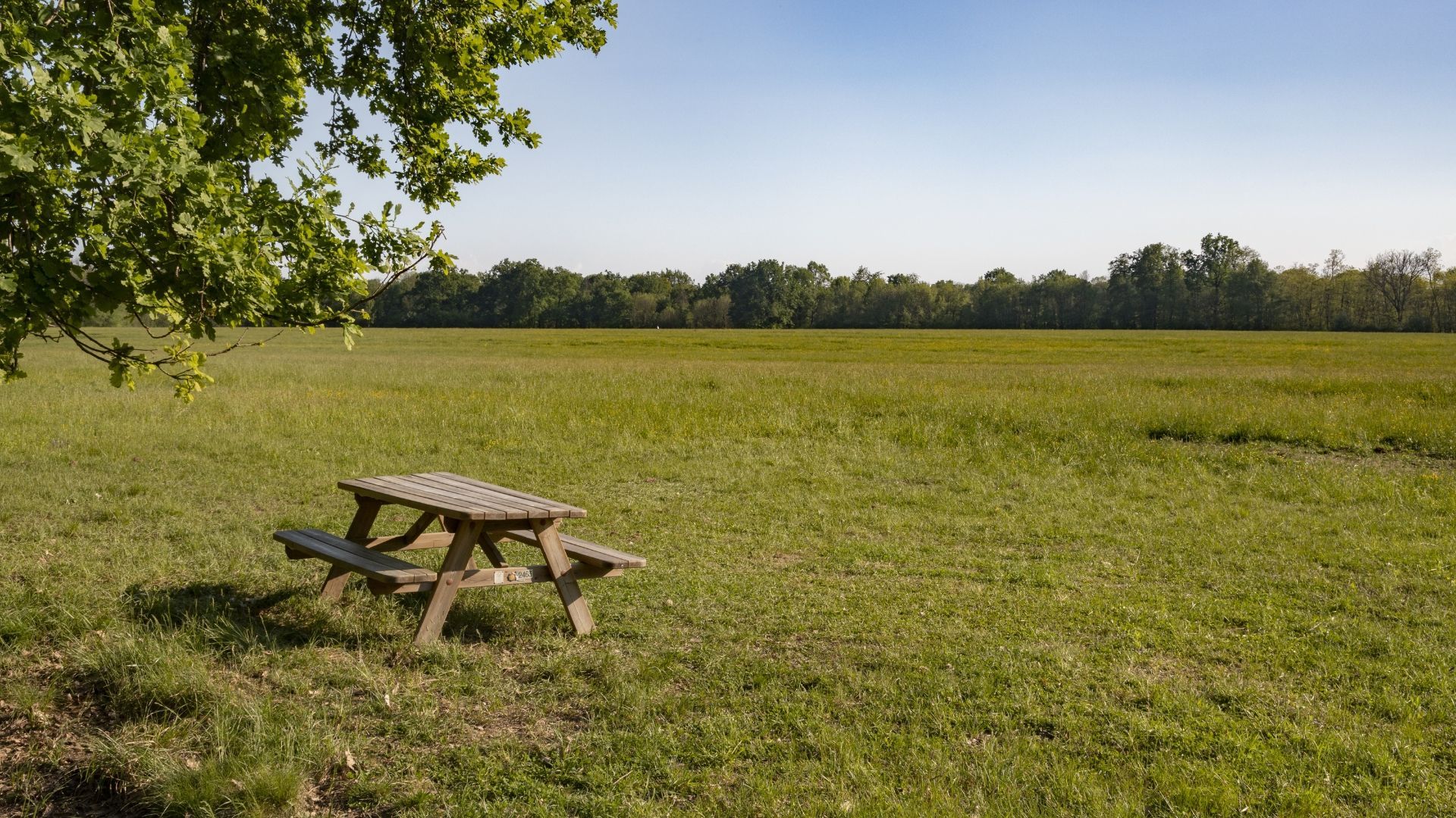Looking for an outdoor day out in northeast England? Explore 8 of the best country parks in the region. Looking for an outdoor day out in northeast England? Explore 8 of the best country parks in the region.