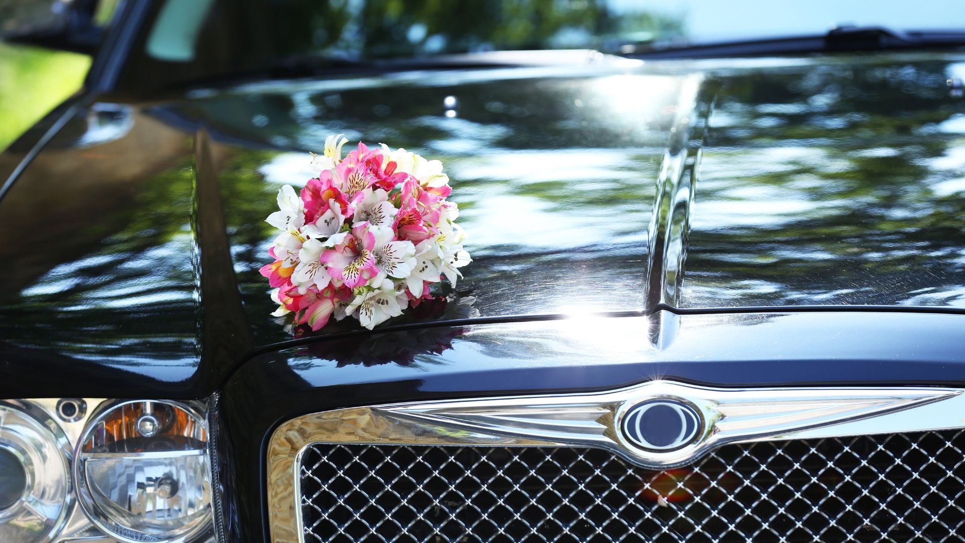 Want your transport to feel as special as the occasion you're celebrating? Here's what to keep in mind when choosing a premium rental car.
