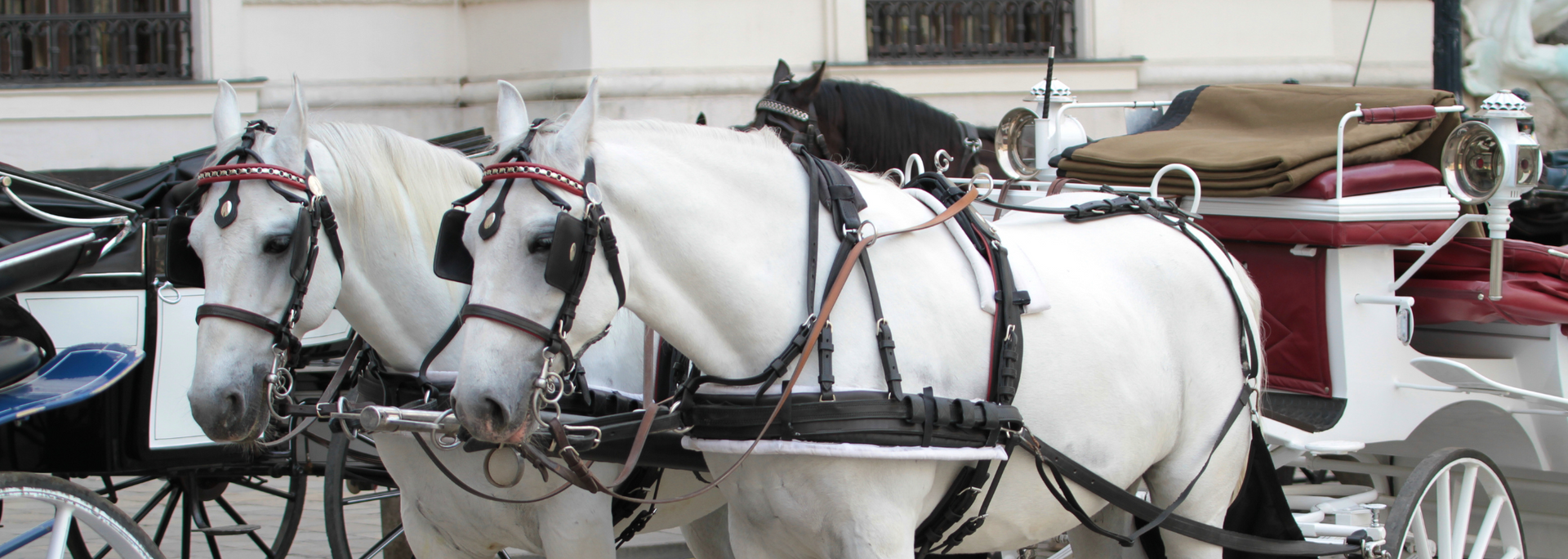Picture of a Carriage Picture of a Carriage