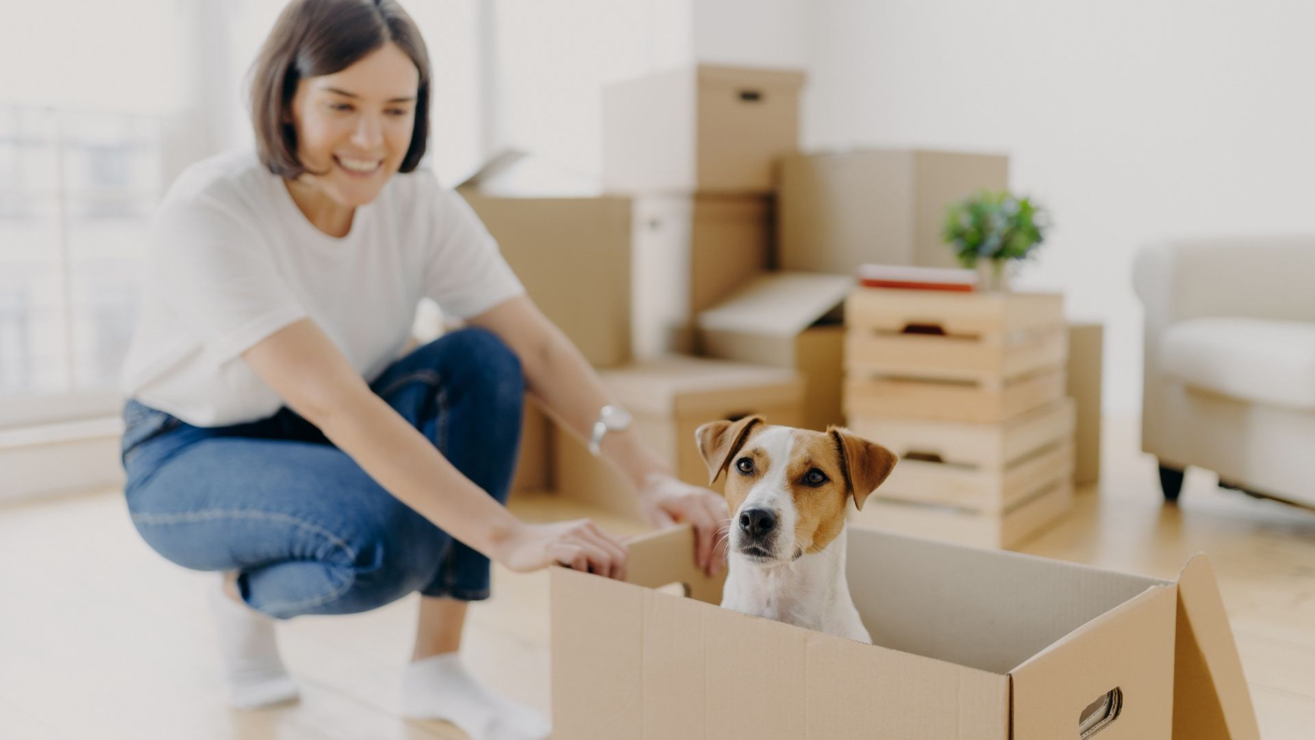 Moving home with a pet can be stressful – but with the right preparation, it doesn't have to be. Learn the secrets to a smooth move in our guide. Moving home with a pet can be stressful – but with the right preparation, it doesn't have to be. Learn the secrets to a smooth move in our guide.