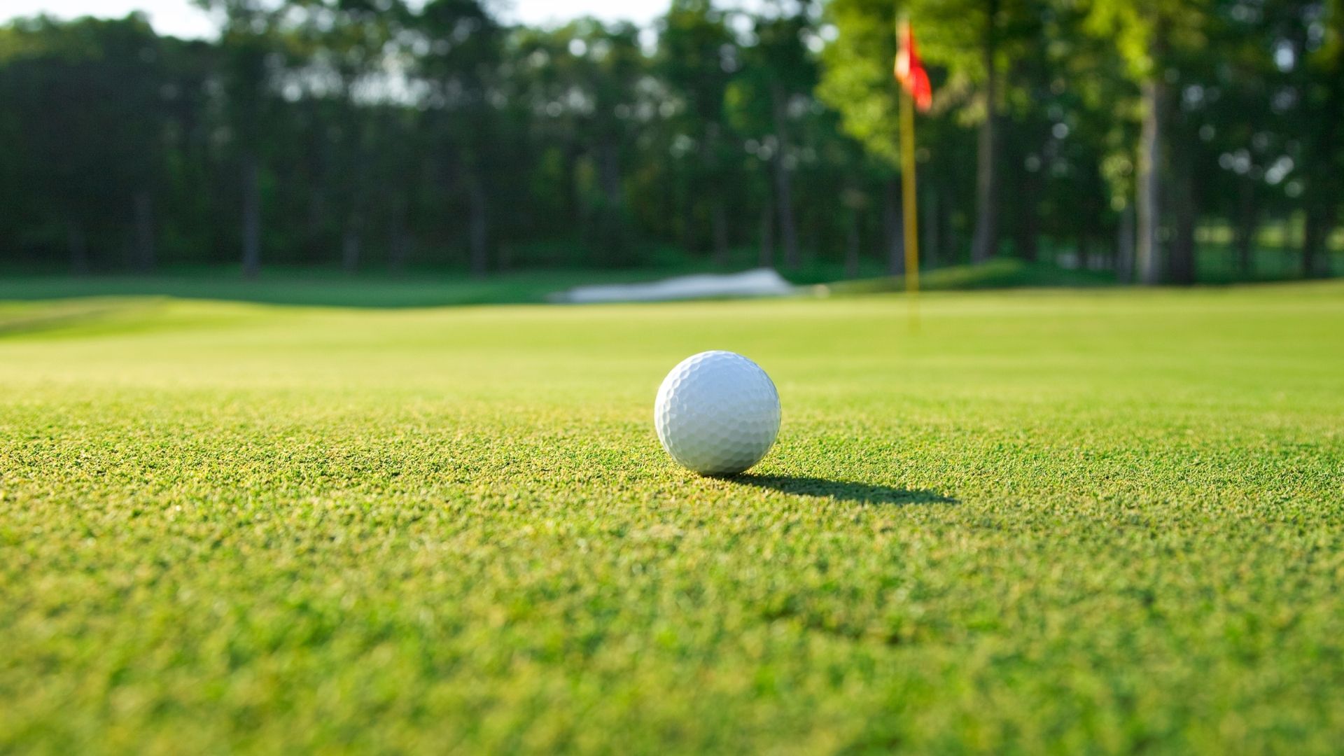 Planning a golf break in the North East of England? Explore 10 of the best golf courses in our guide. Planning a golf break in the North East of England? Explore 10 of the best golf courses in our guide.