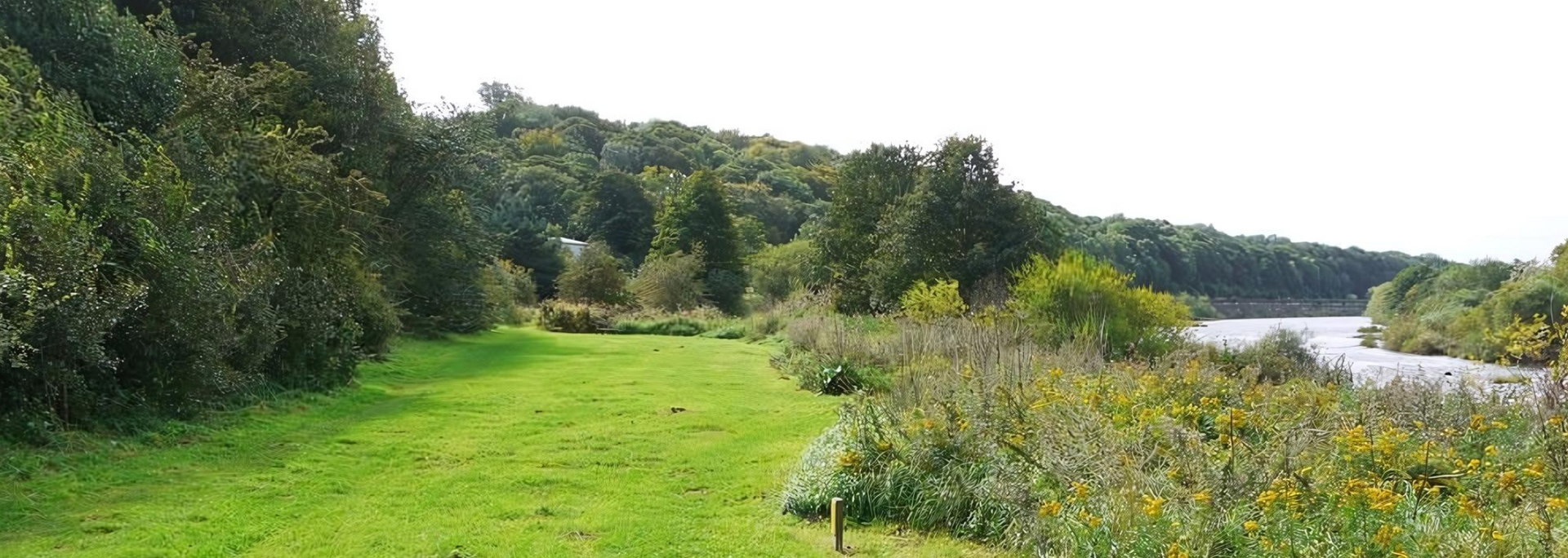 Picture of Tyne Riverside Country Park.