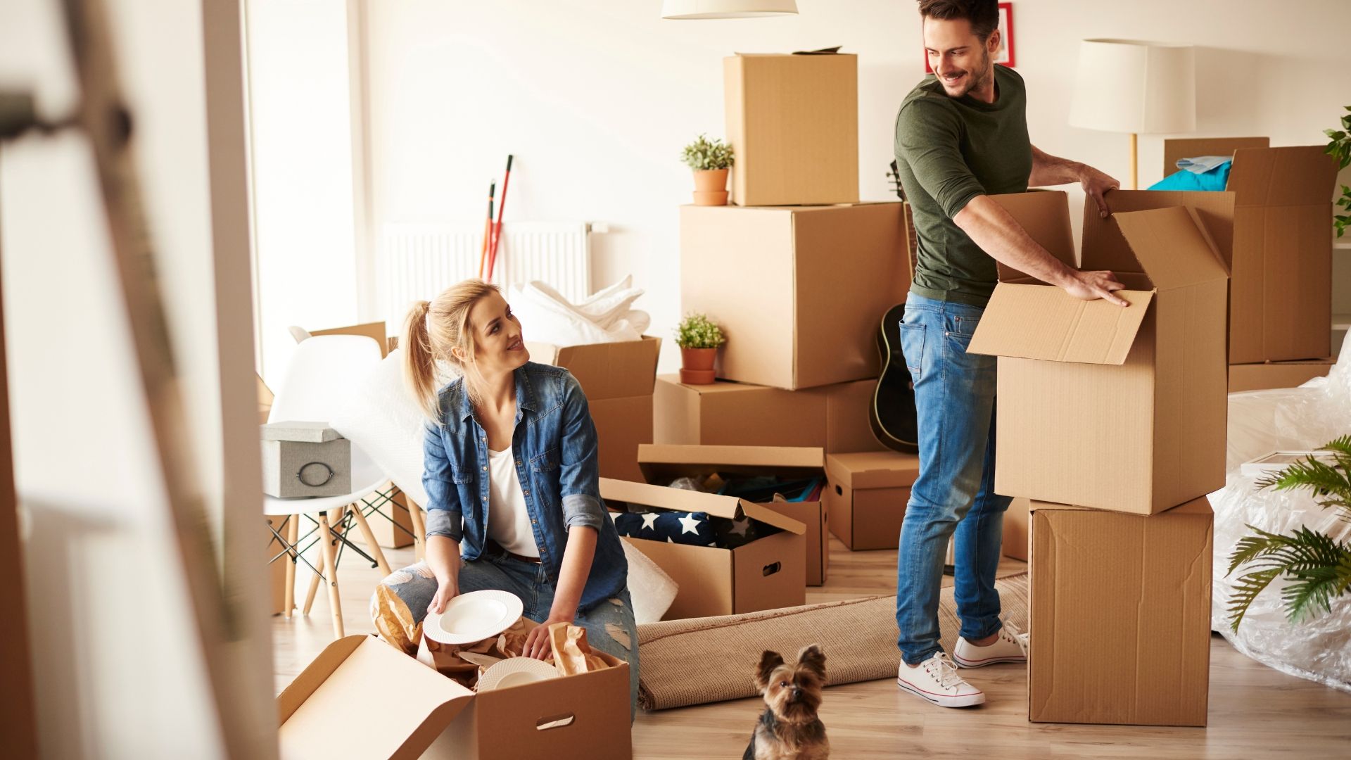 Moving house? Learn who you need to inform and get some extra tips to make moving day easier.

