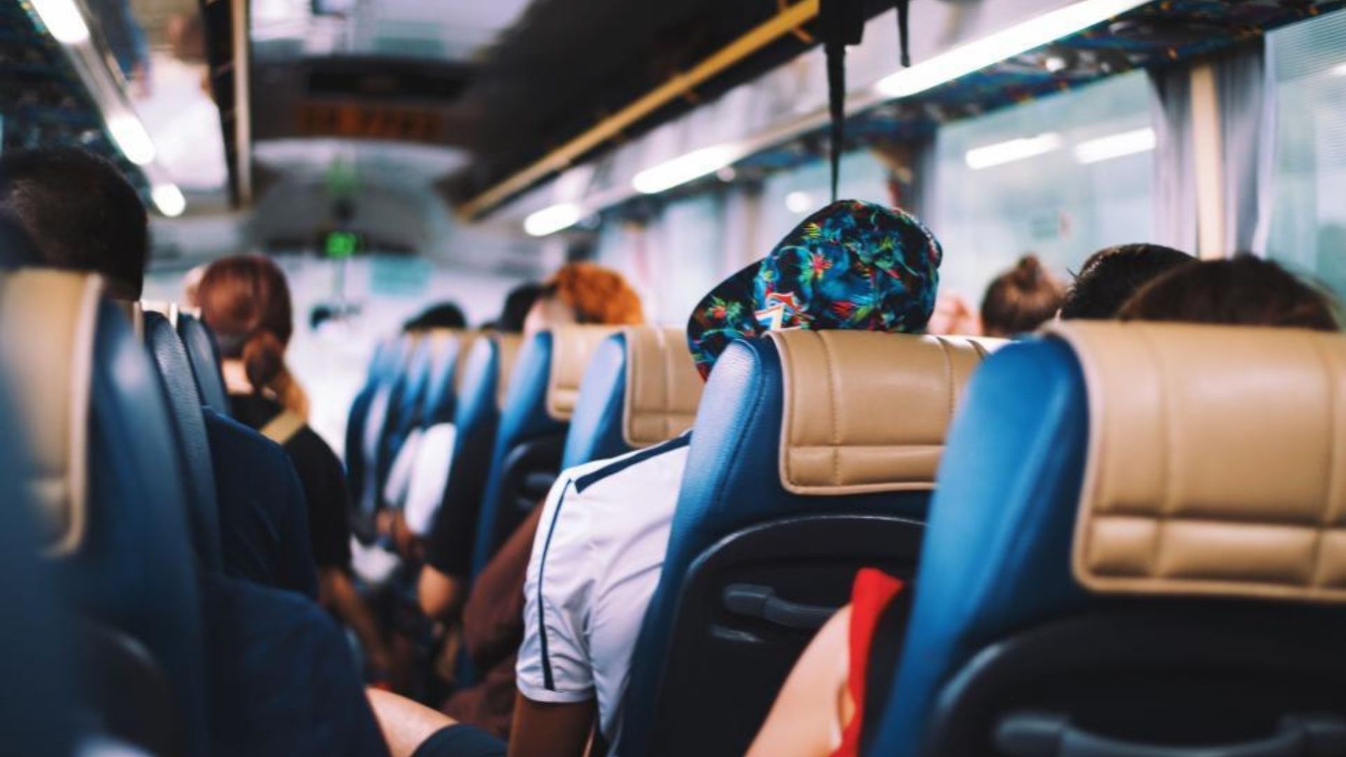 Going on a trip and trying to decide between a coach and a minibus? Explore your options in our guide.
