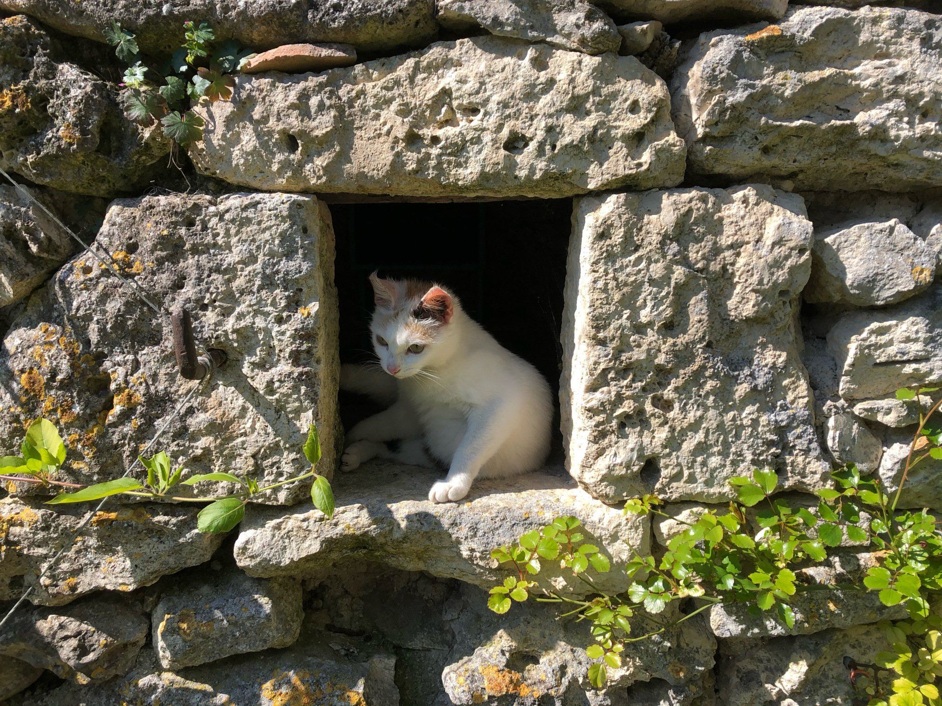 Les Escaliers de La Combe bedankt