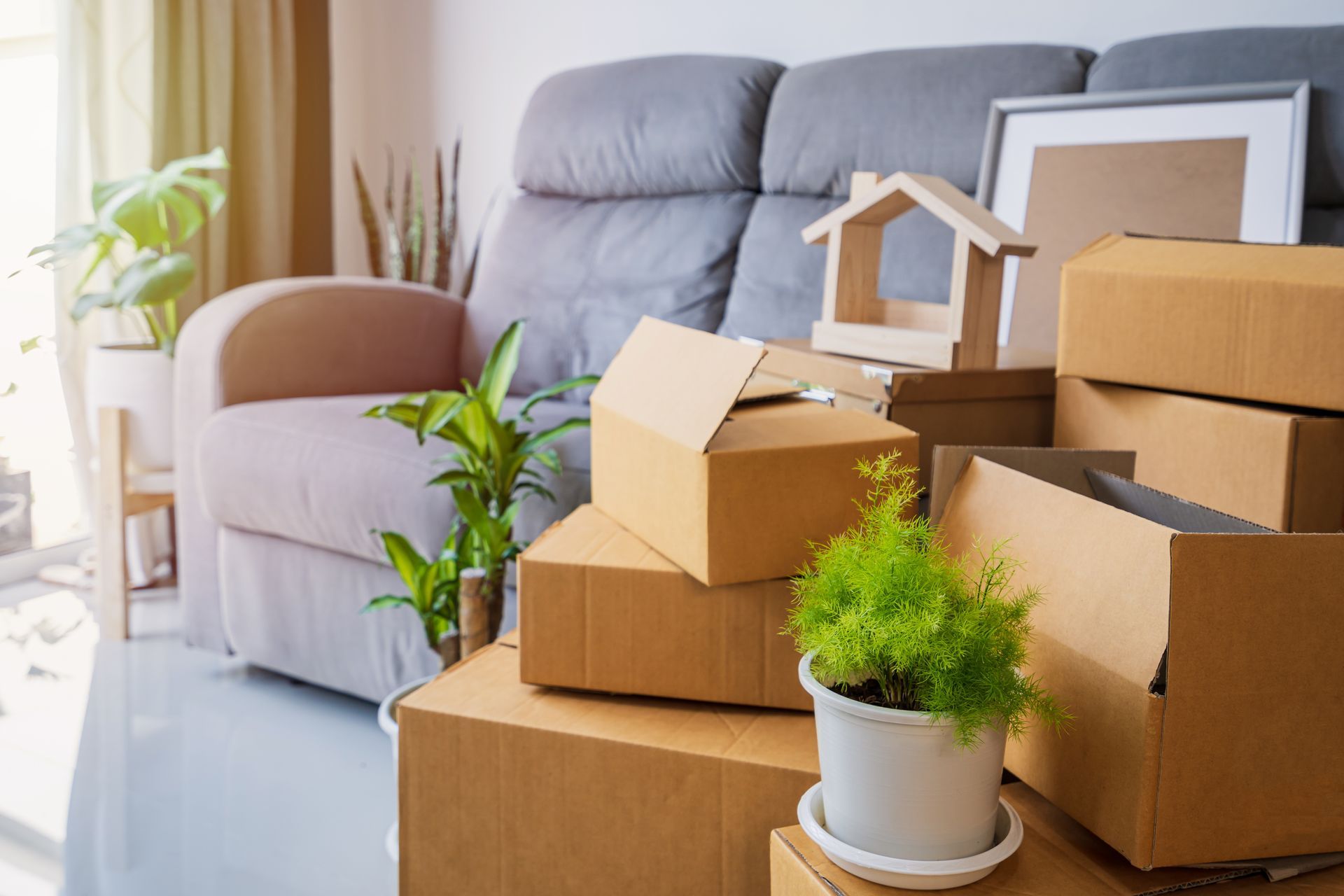 Cardboard boxes stacked near a sofa and houseplant, suggesting a move.