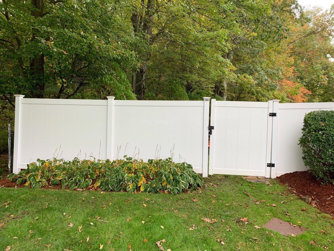 A white vinyl privacy fence with a closed gate stands in a yard with green grass, a small bush, and trees in the background.