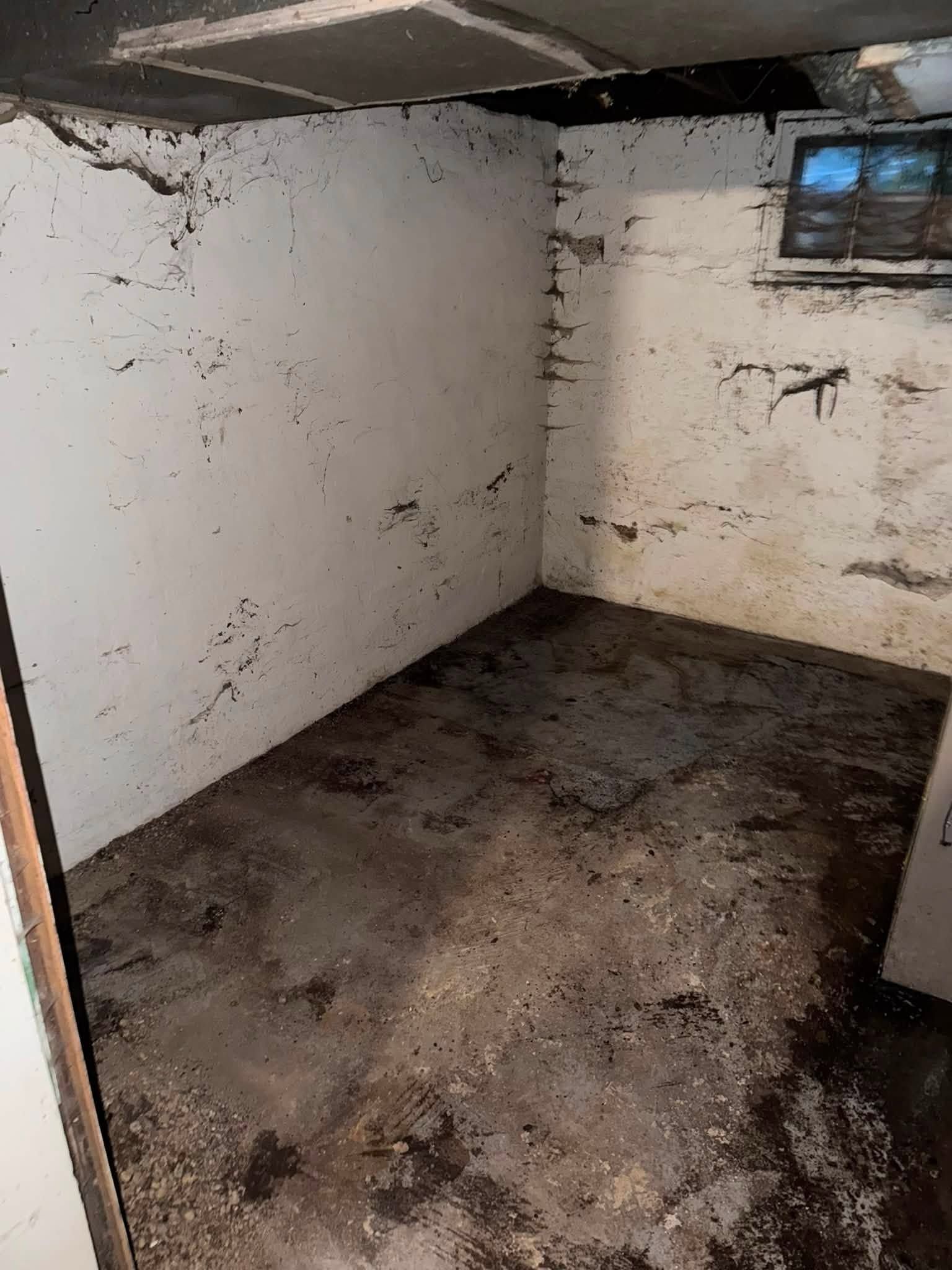 Small unfinished basement room with stained white walls, dark floor, and a small window.