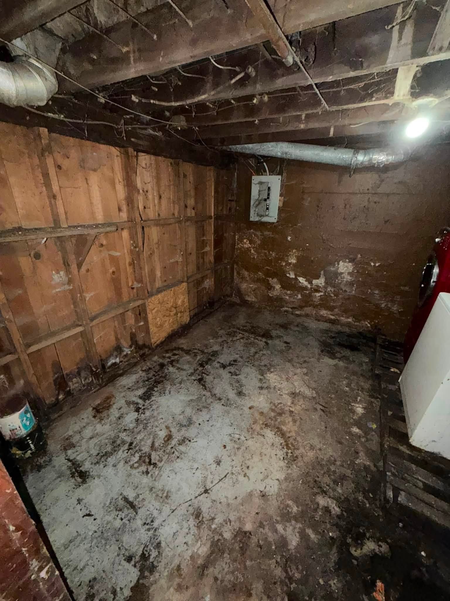 Flooded, moldy basement corner with exposed pipes, damaged walls, and a wet concrete floor.