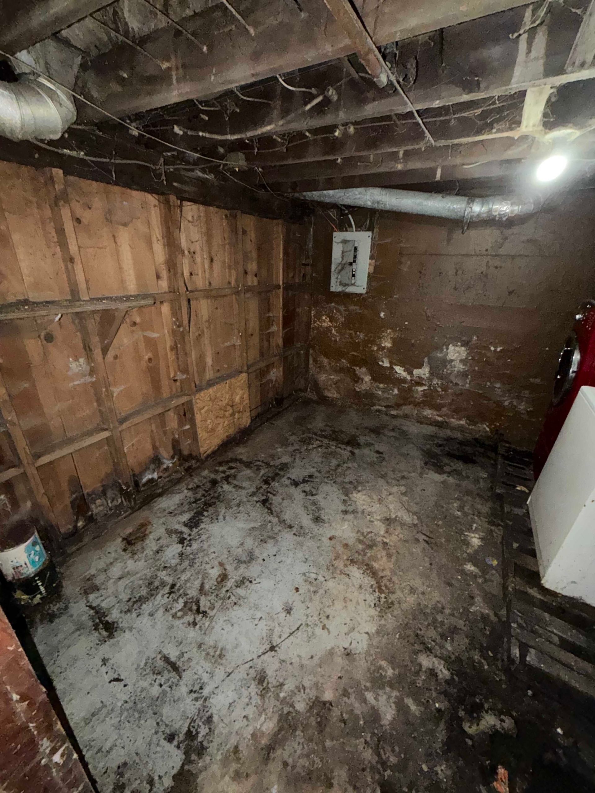 Damp unfinished basement with exposed beams, brick walls, concrete floor, and mold or water damage