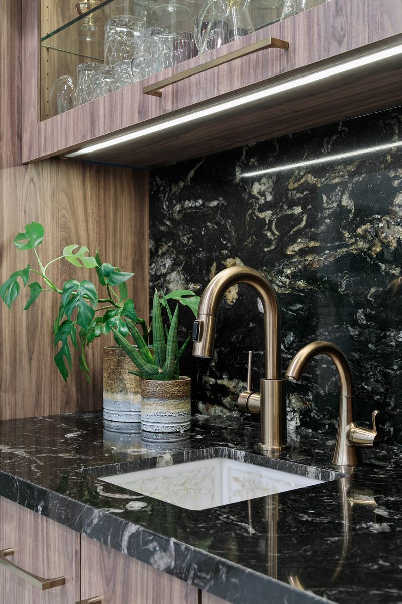 A kitchen sink with two faucets and a plant on the counter.
