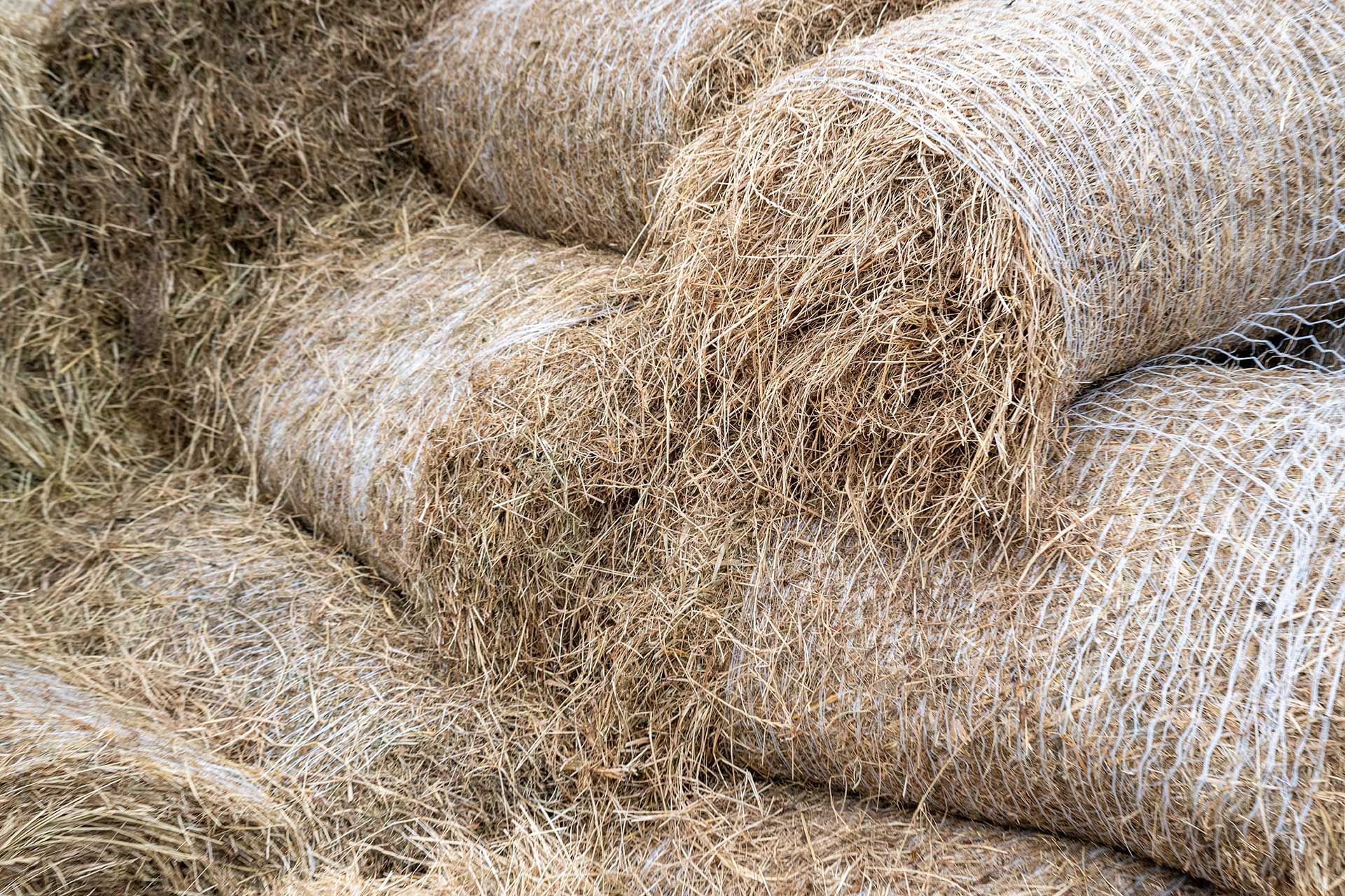Hay