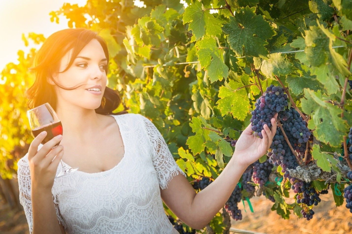 Beautiful Woman With a Glass of Wine