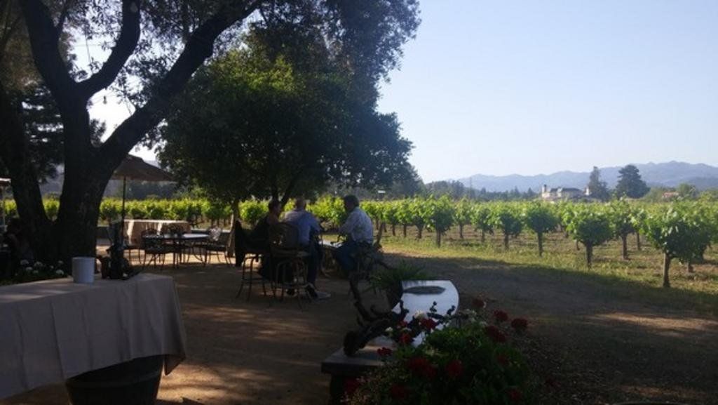 outside a vineyard
