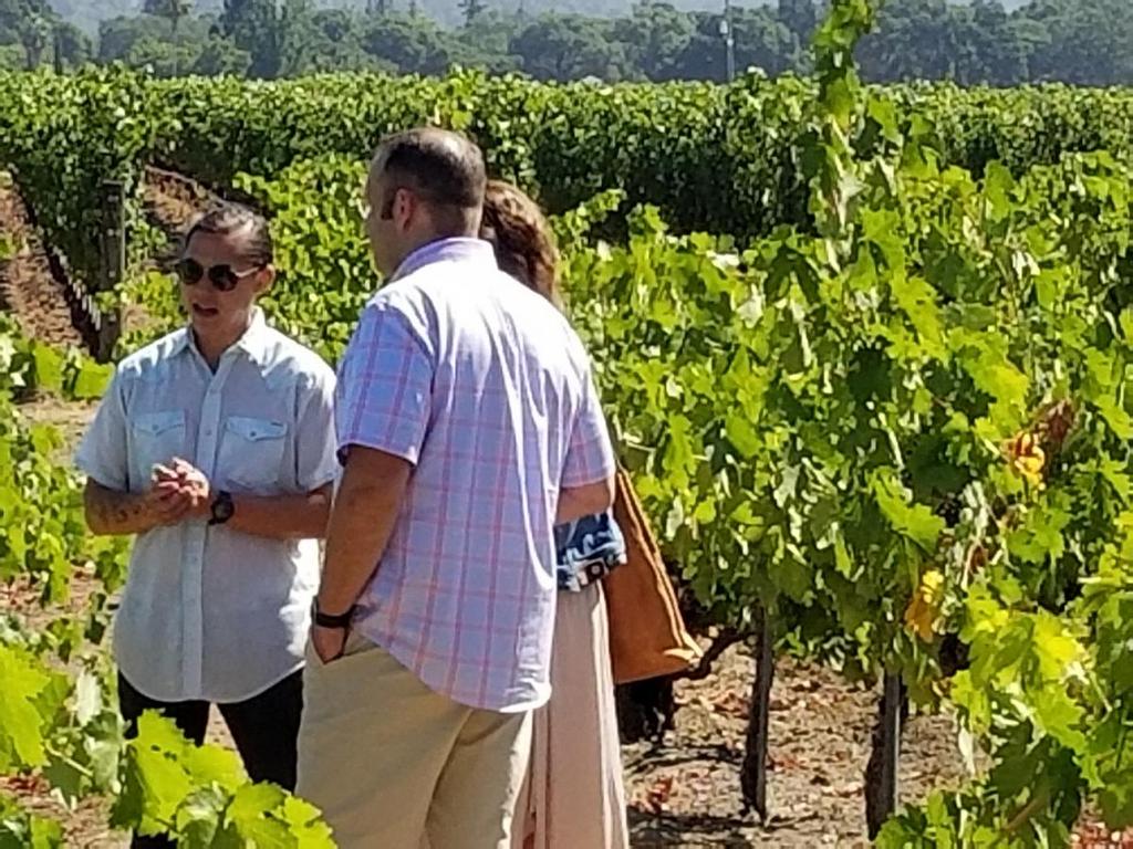 people listening to a wine expert in a vineyard
