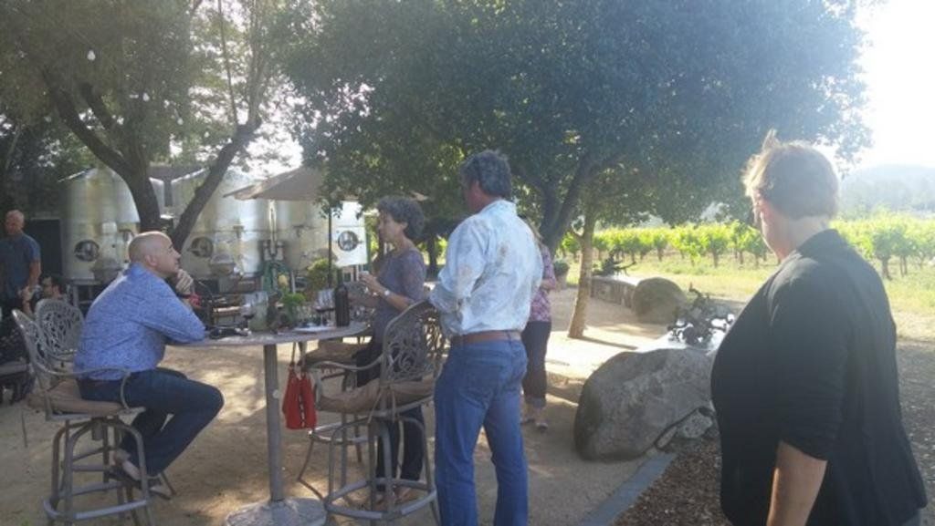 people enjoying a wine vineyard