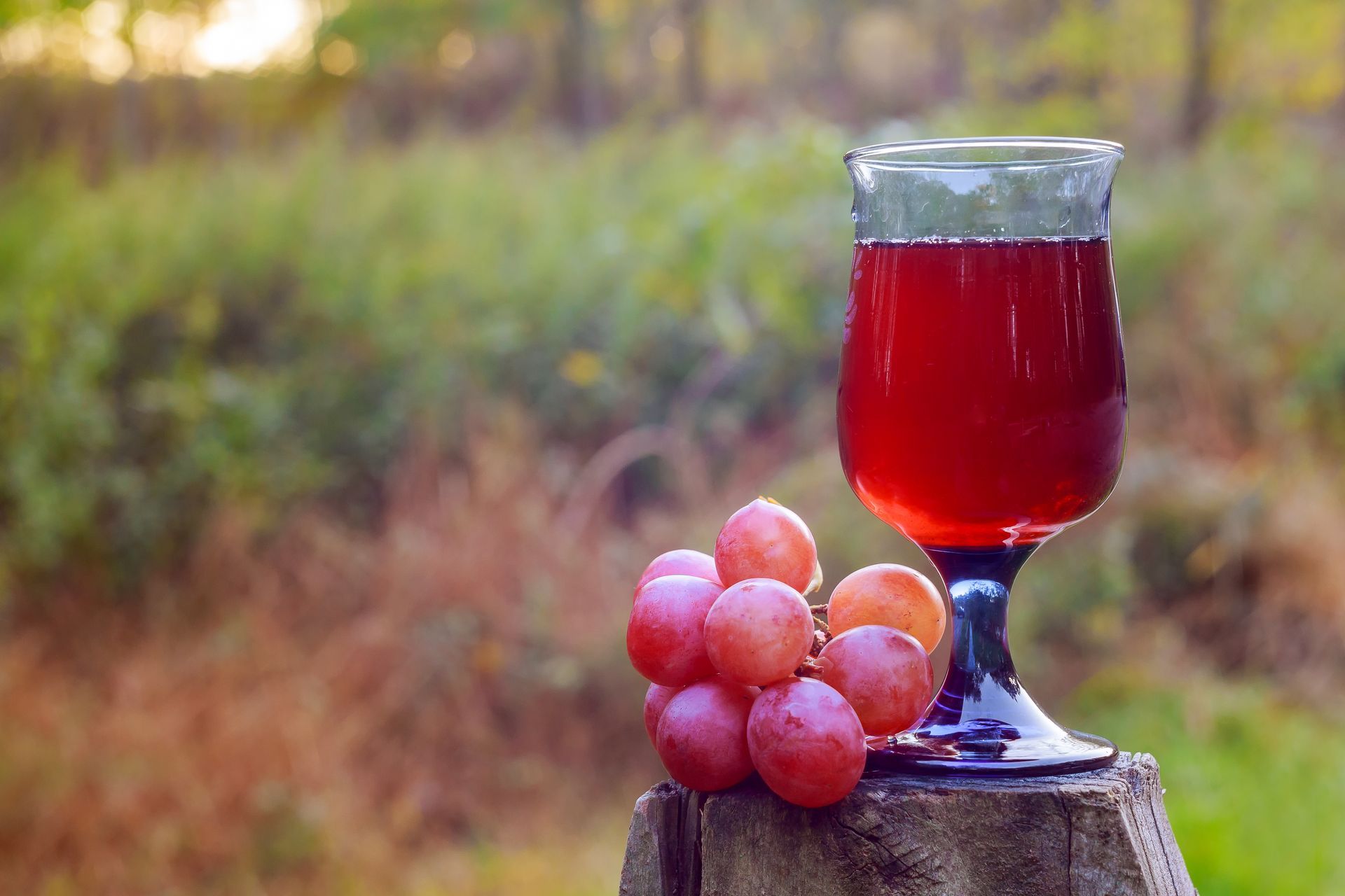 glass of red wine next to grapes wooden stump