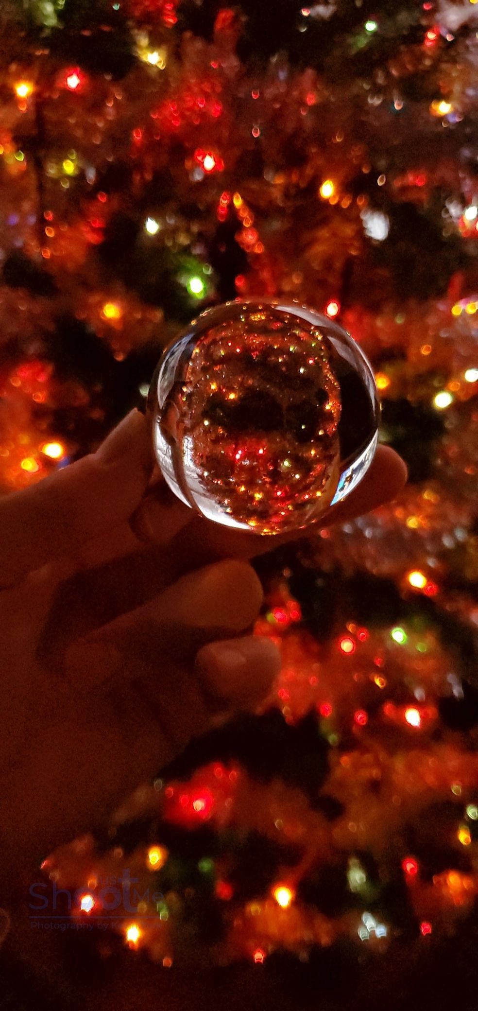 A hand holds a clear glass sphere in front of a blurred Christmas tree glowing with colorful holiday lights.