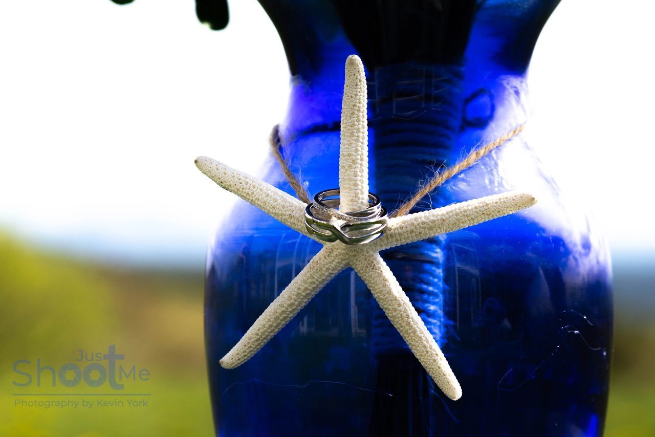Two silver wedding rings rest on a white starfish tied to a deep blue glass vase against a blurred outdoor background.