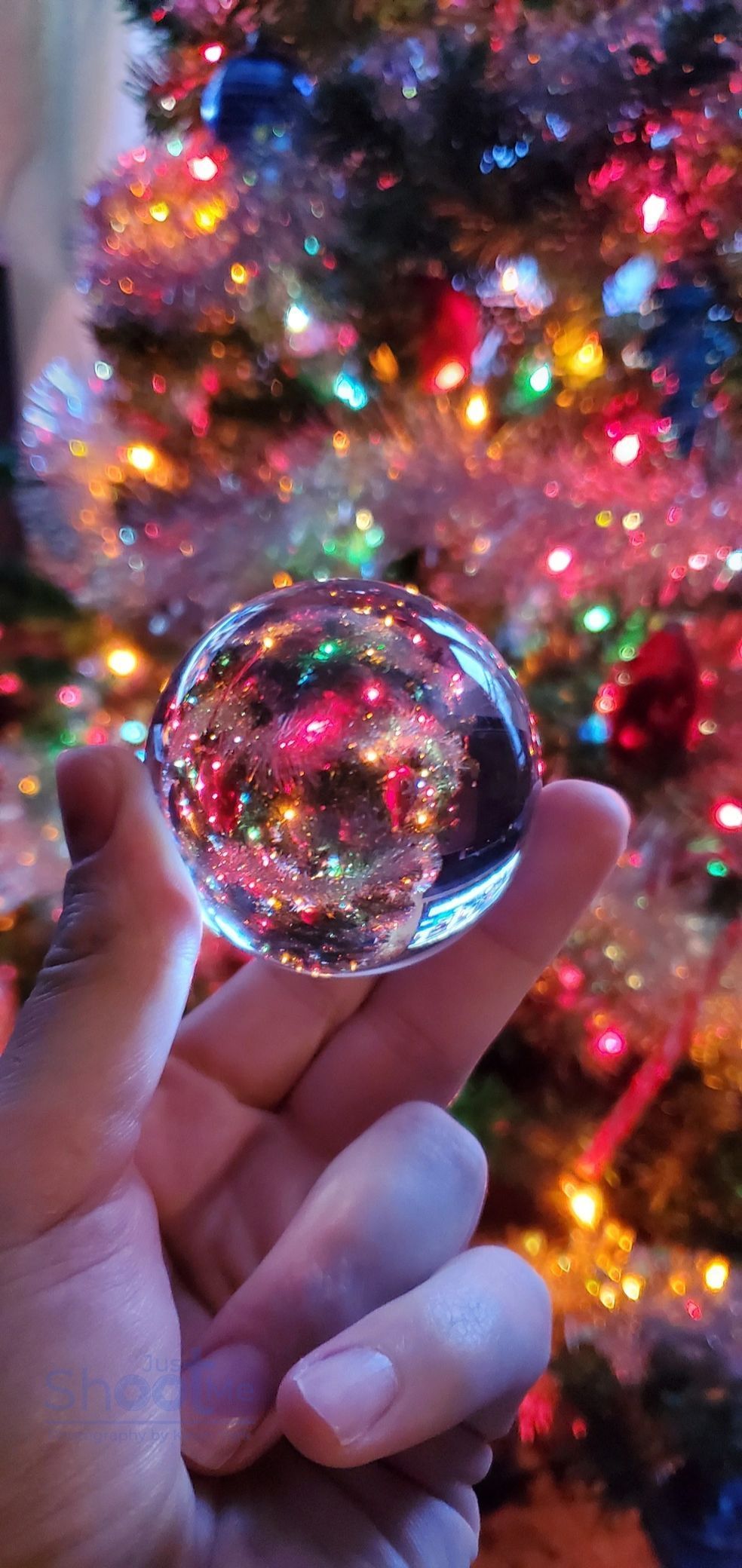 A hand holds a clear crystal ball that reflects a blurred, colorful Christmas tree in the background.