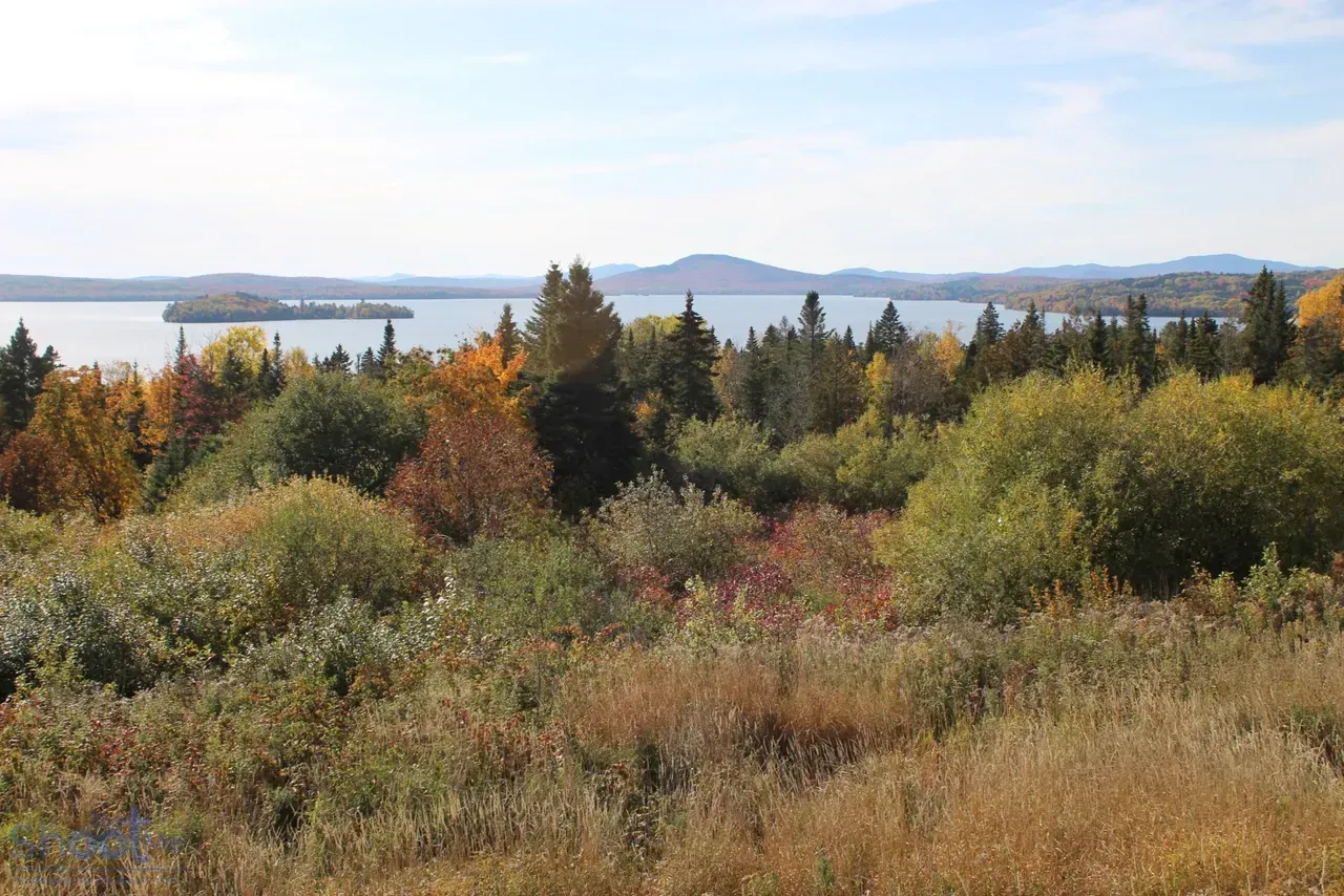 A scenic view overlooking a lake surrounded by forest trees with hints of autumn colors under a pale blue sky.