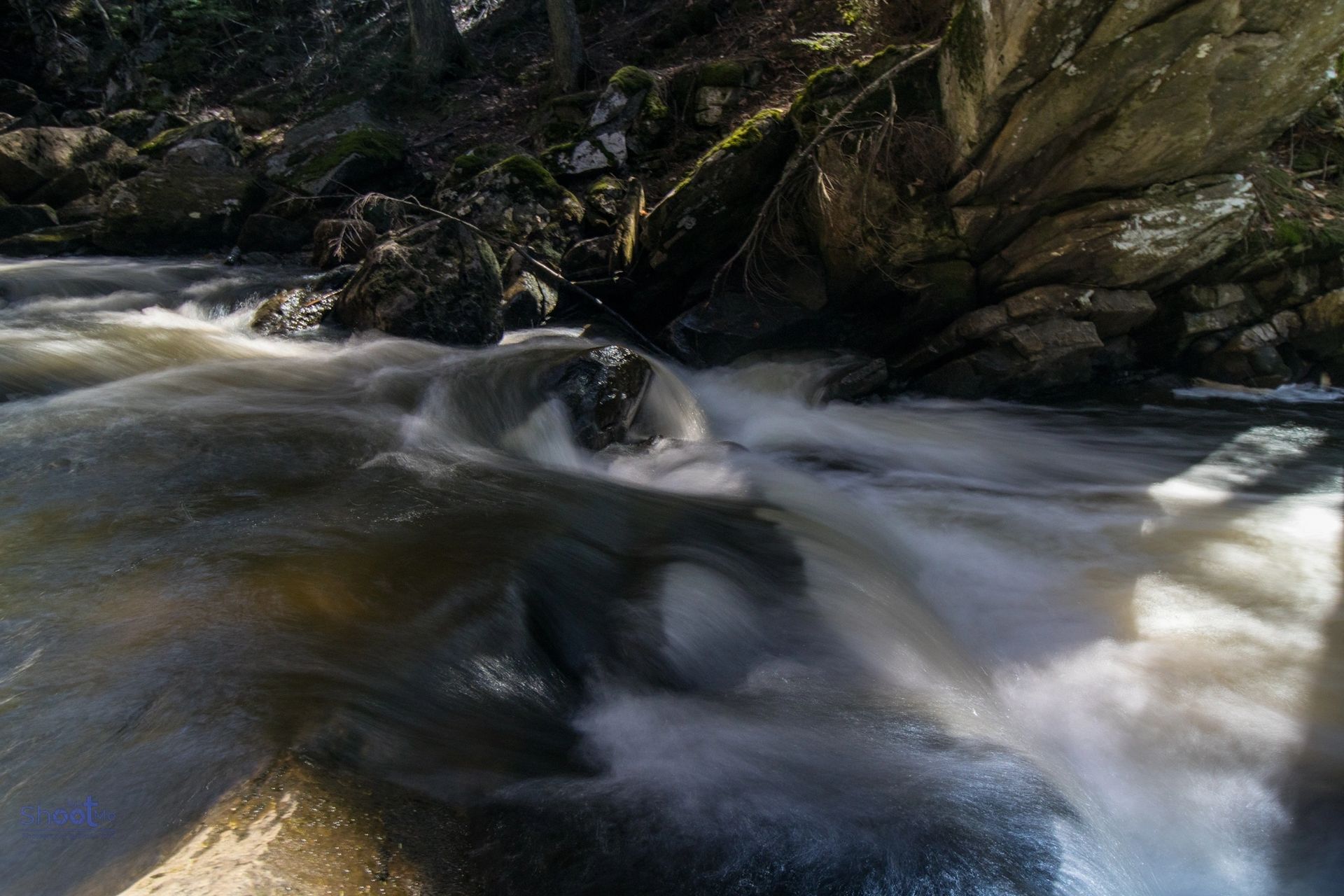 Water flows over smooth rocks in a shaded, forested stream, captured with a long exposure for a silky effect.