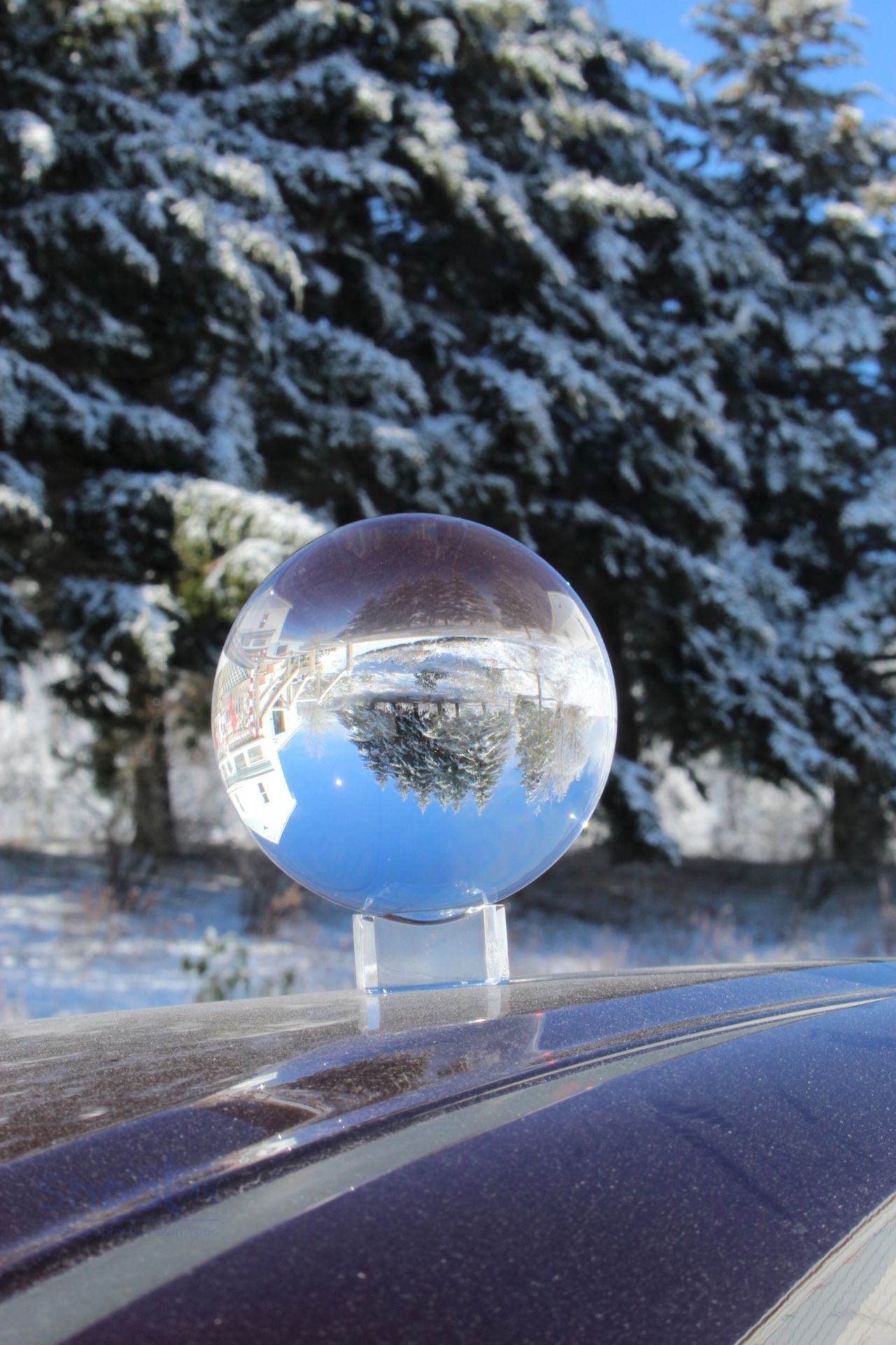 A glass sphere on a stand sits on a car roof, showing an inverted, refracted view of snow-covered pine trees and blue sky.