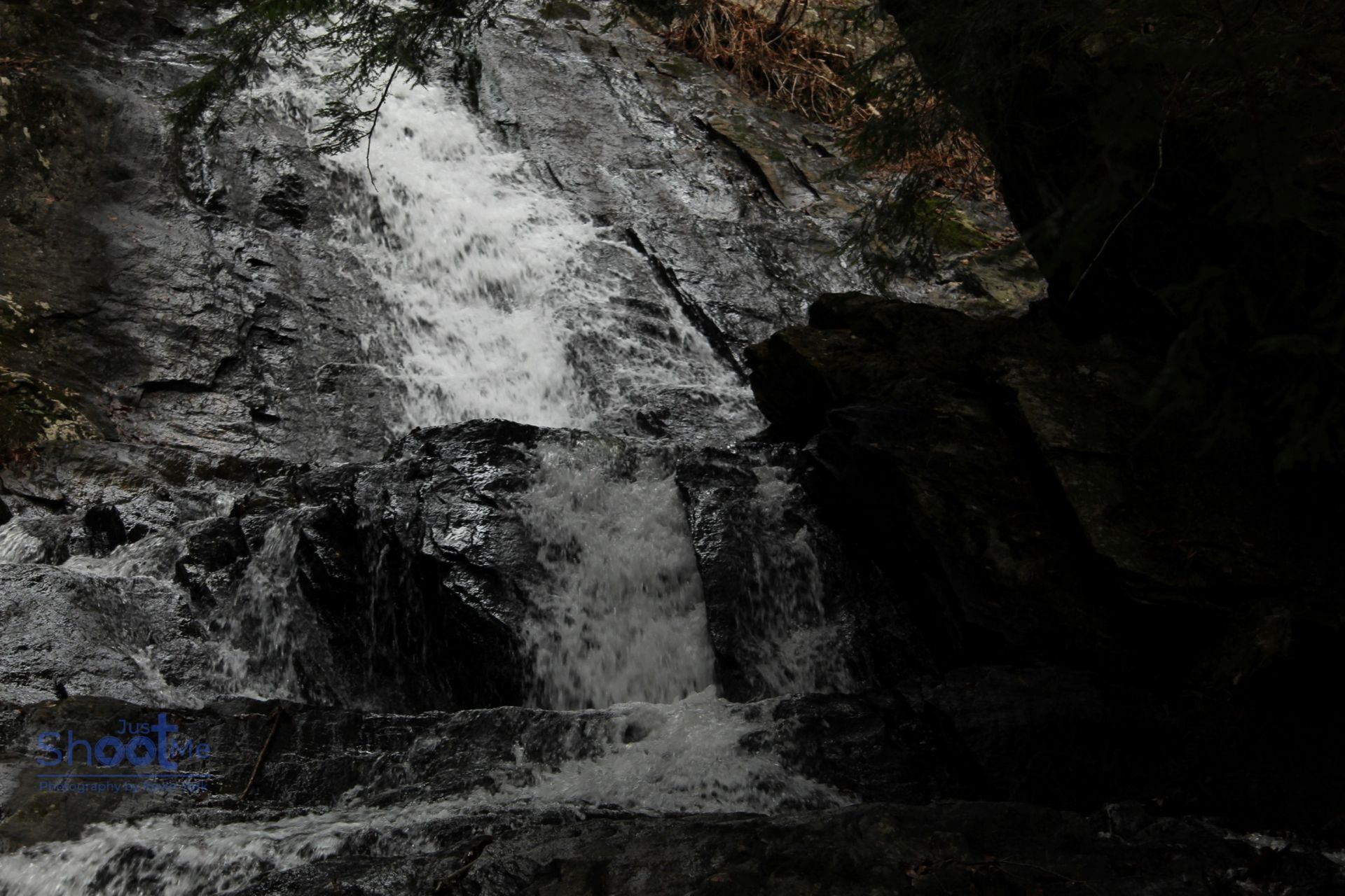 A cascading waterfall flows over dark, textured rocky cliffs in a dimly lit, natural forest setting.