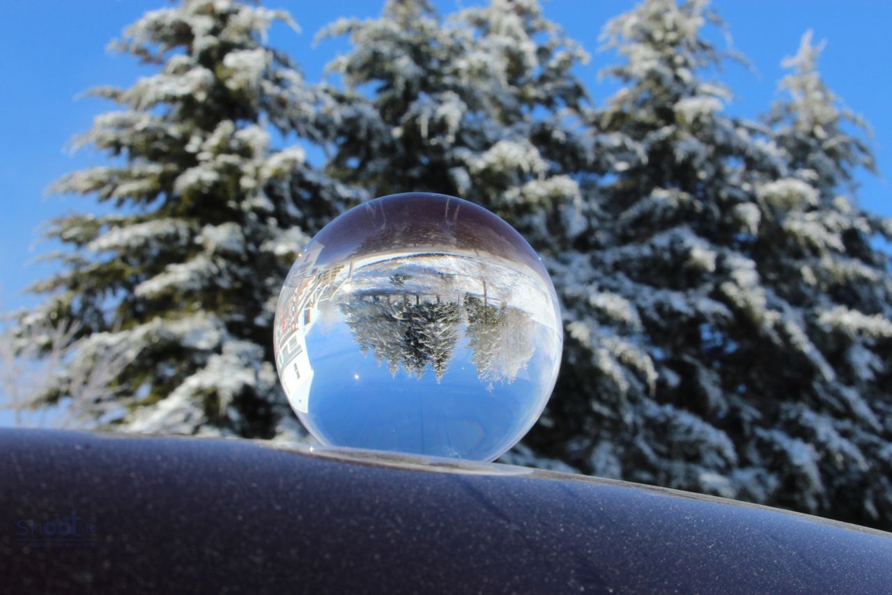 A glass orb sits on a surface, reflecting an inverted view of snow-covered evergreen trees against a bright blue sky.