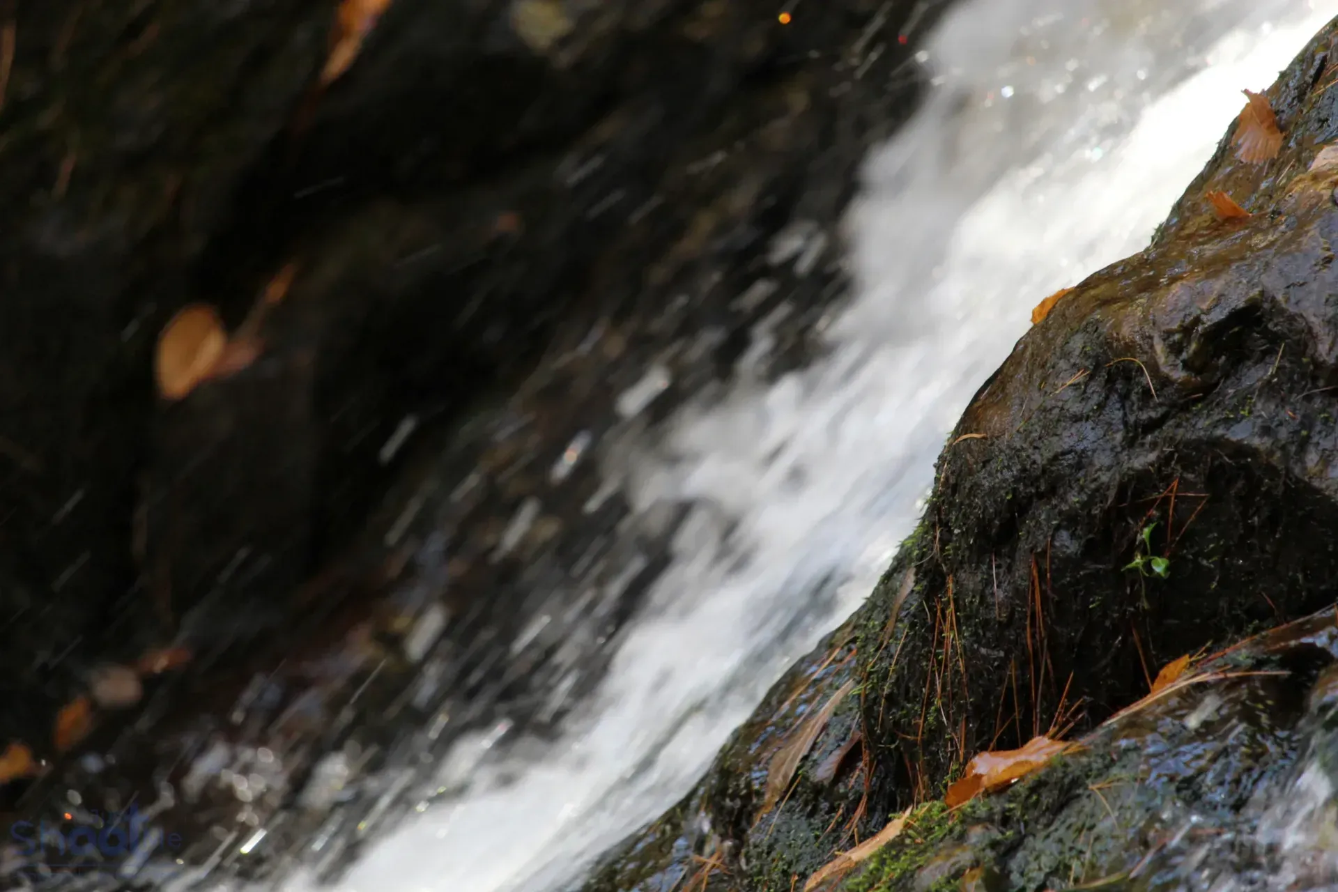 A stream of white, rushing water cascades over dark, mossy rocks in a forest setting with fallen brown leaves.