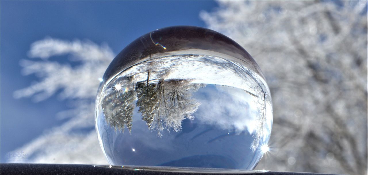 A glass sphere reflects a snowy, frost-covered forest scene against a clear blue sky.