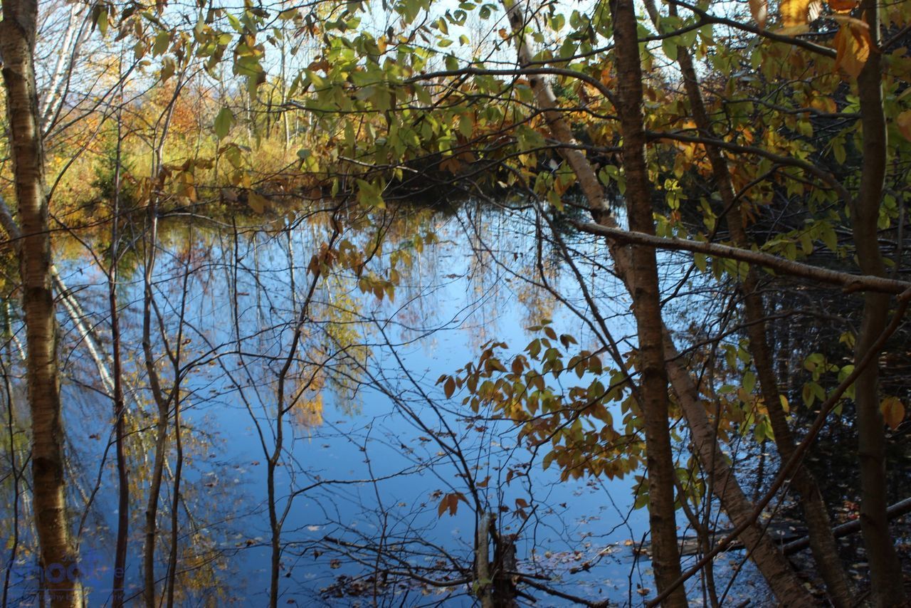 A calm, deep blue pond surrounded by trees with yellow and green autumn foliage, viewed through branches.