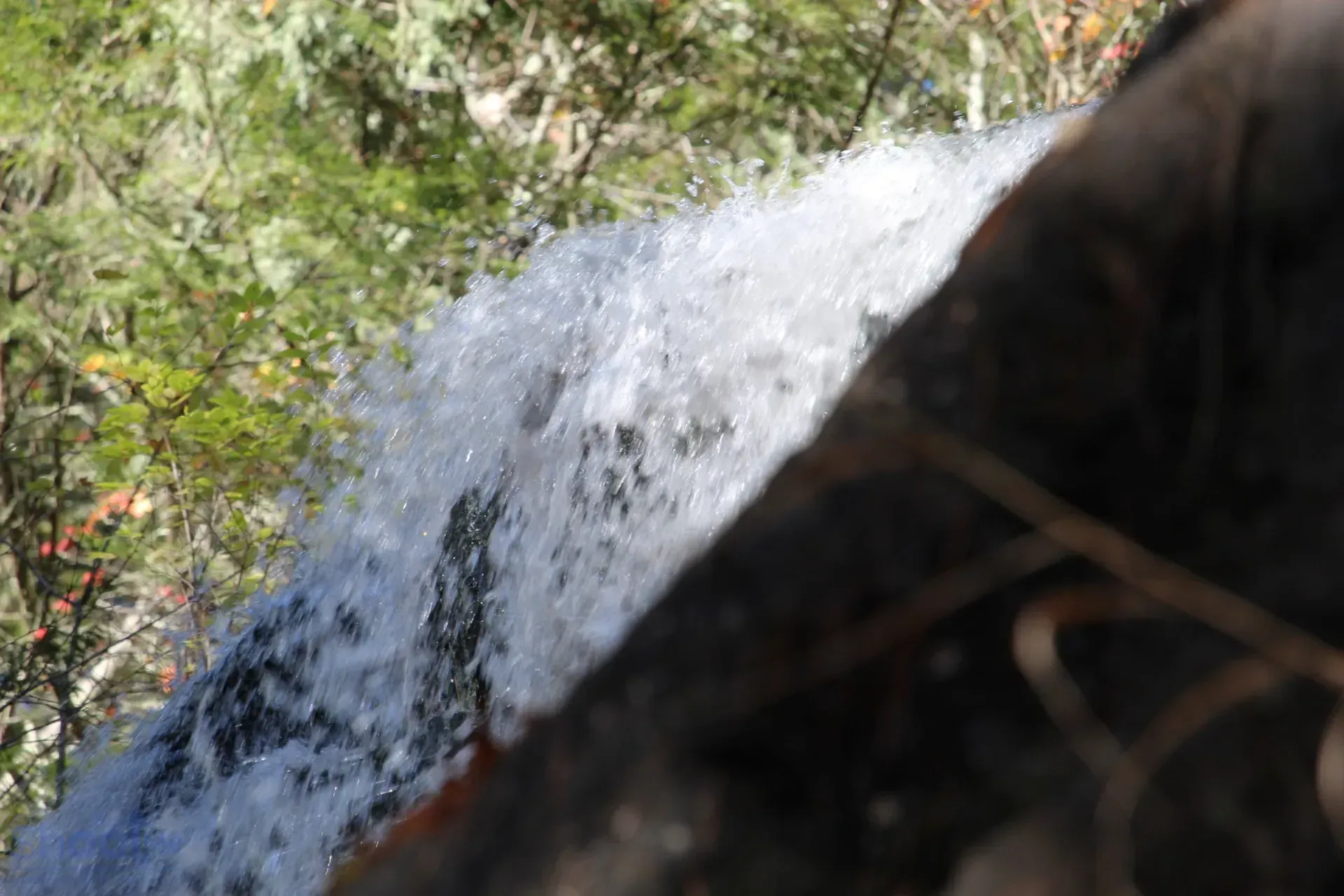 A close-up view of water cascading over a rock ledge, with blurred green forest in the background.