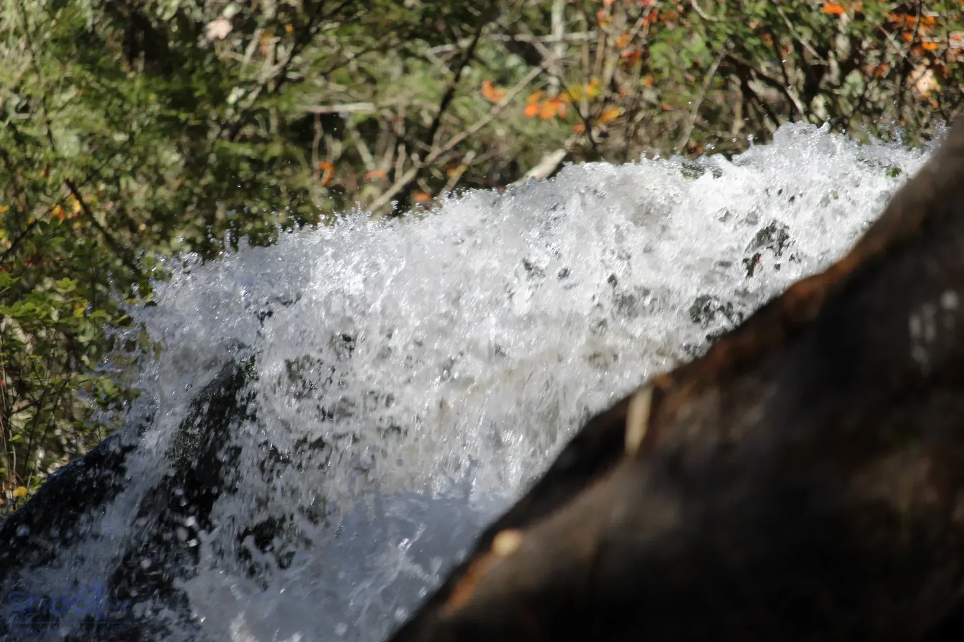 A close-up view of water cascading over a rock, with blurred green foliage in the background.