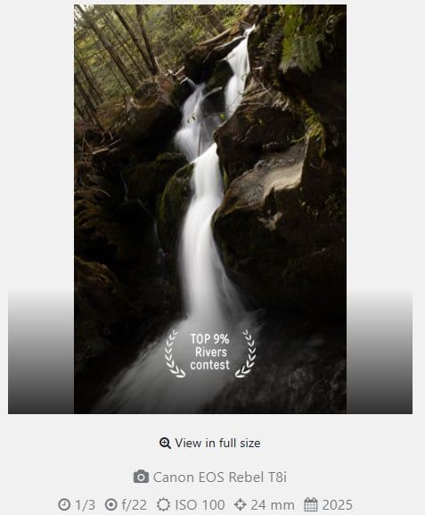 Waterfall cascading through a narrow rocky forest gorge