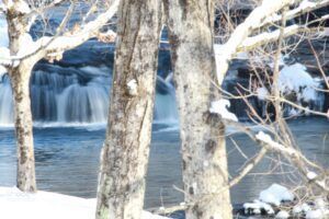 A waterfall flows into a river, framed by snow-covered tree trunks in a winter landscape.