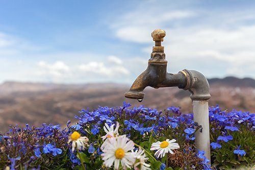 Plumbing For Spring Plumbing For Spring