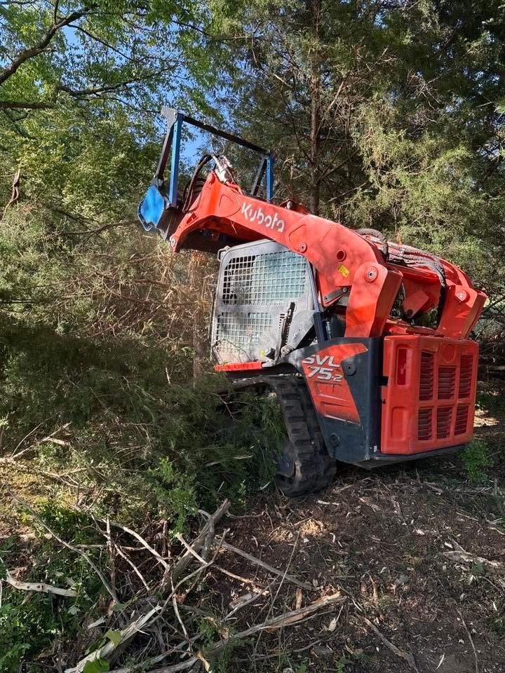 Red forestry mulcher working on a wooded hillside, with blue grapple arm and red body.