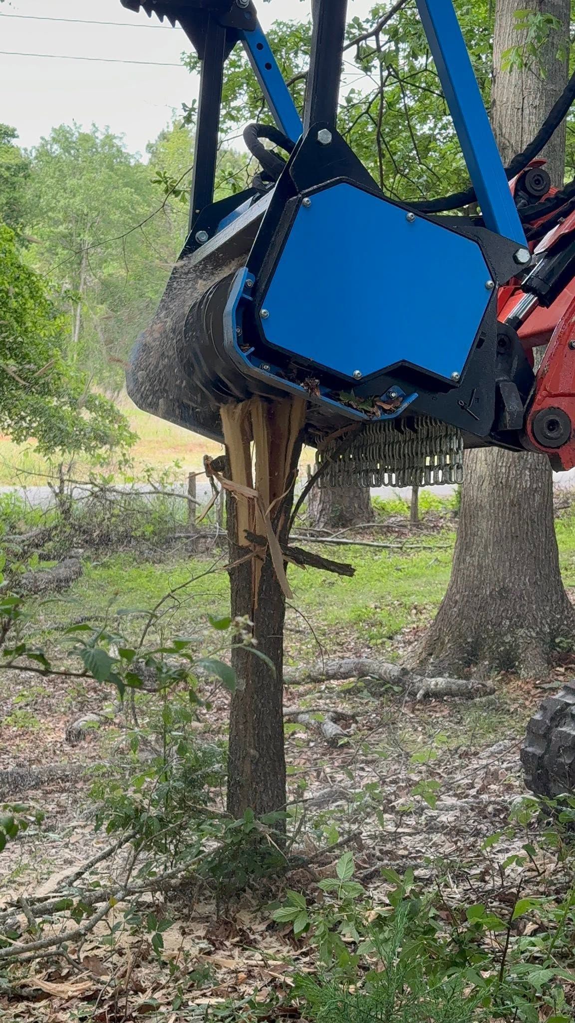 Blue-and-red forestry machine lifting a tree trunk in a wooded area