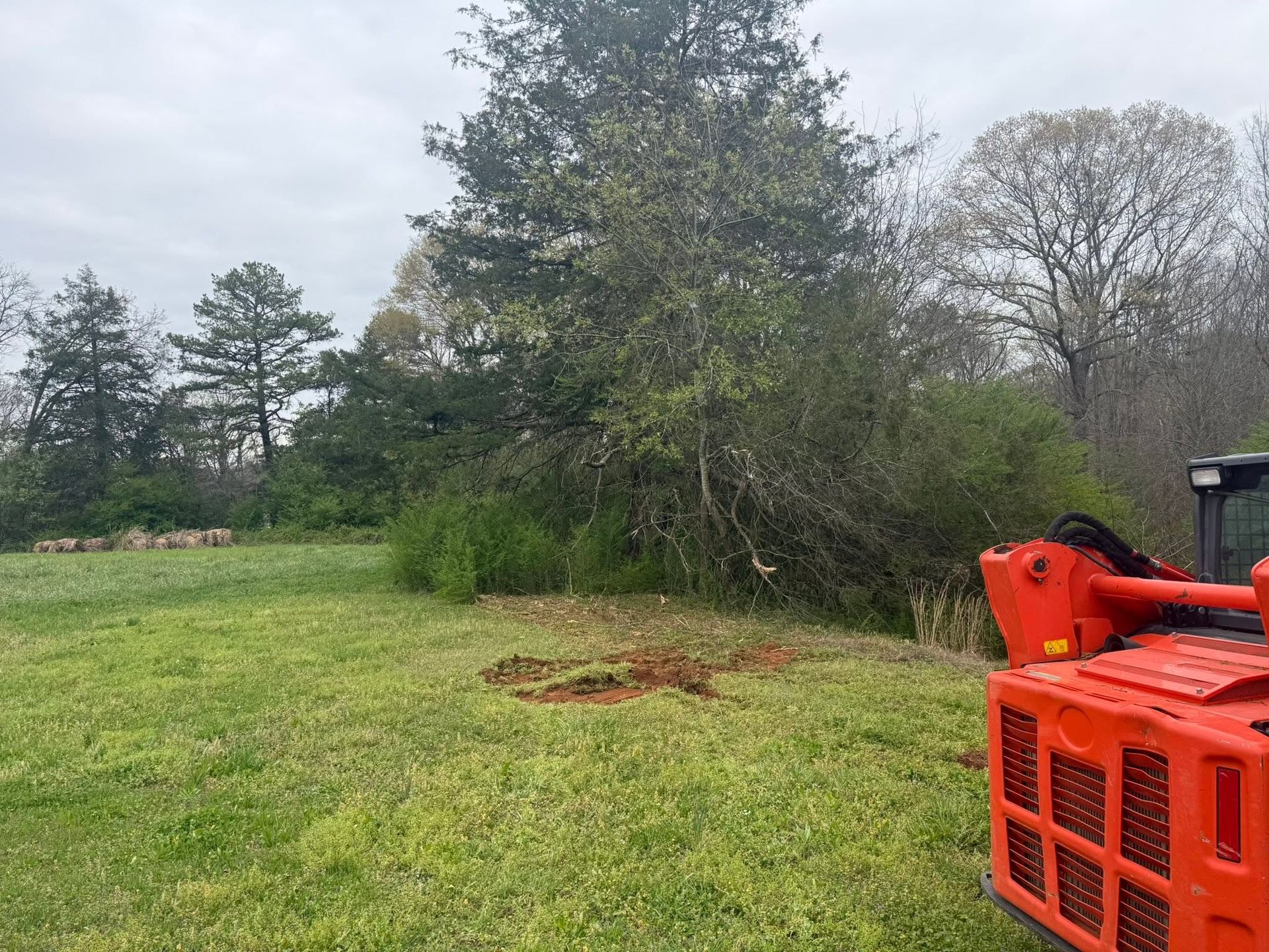 Grassy field with a large tree and orange tractor equipment on the right under a cloudy sky