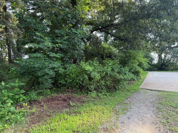 Gravel path beside dense green trees and shrubs in a wooded area
