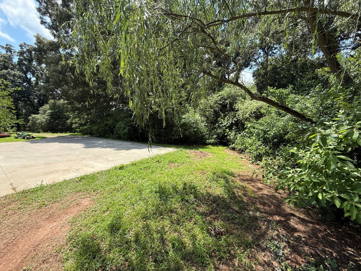 Curved roadside beside dense green trees and shrubs on a sunny day