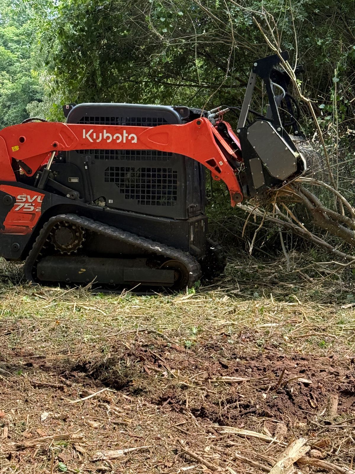 Orange Kubota skid steer clearing brush in a wooded area