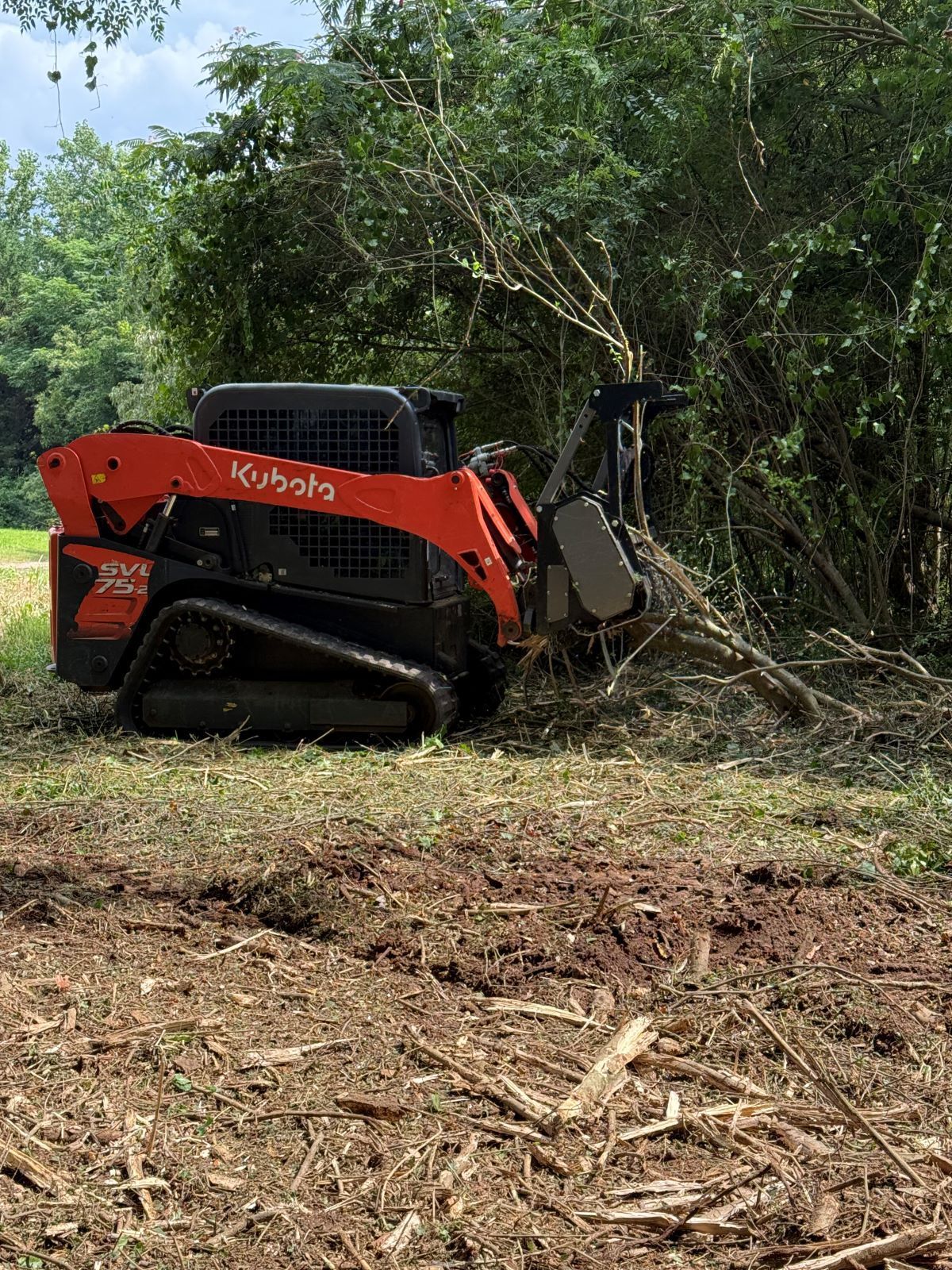 Red skid steer clearing brush in a wooded area, with cut branches and debris on the ground.