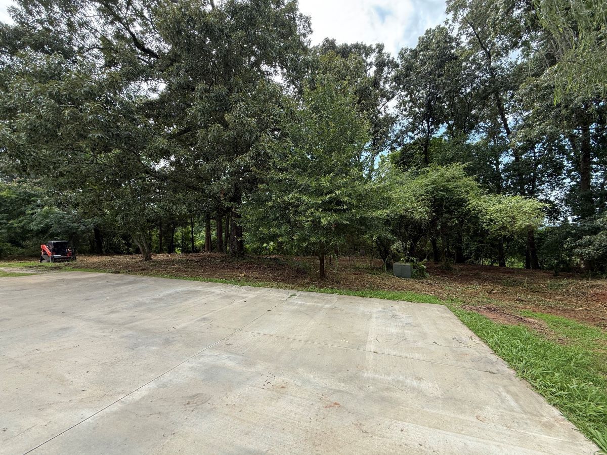 Empty concrete lot beside a wooded area with trees and grass