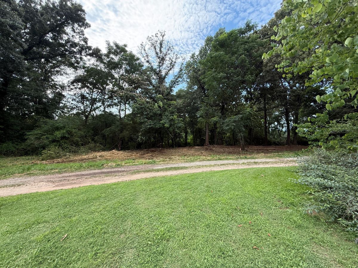 Grassy field beside a dirt path with trees and cloudy sky in the background