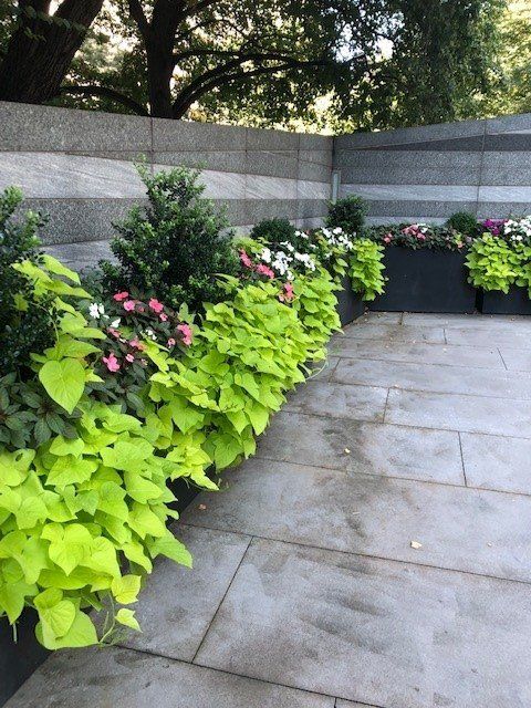 Bright green plants line a gray stone border with blooming flowers.