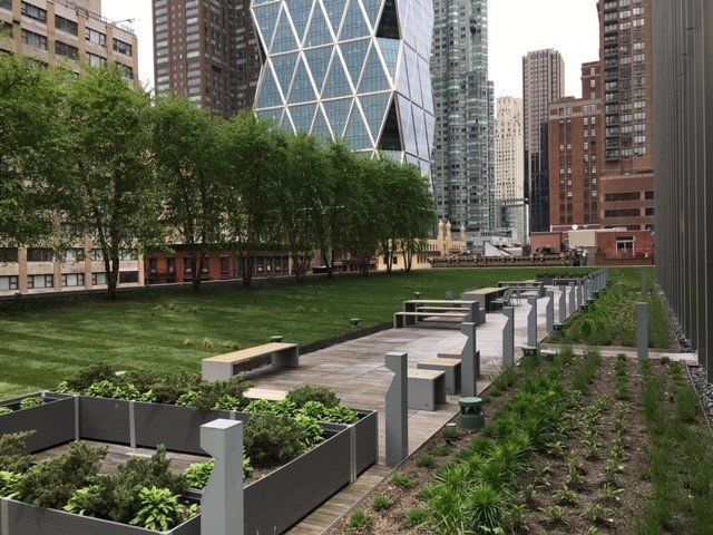 Rooftop park with benches, trees, and planters, surrounded by city buildings.