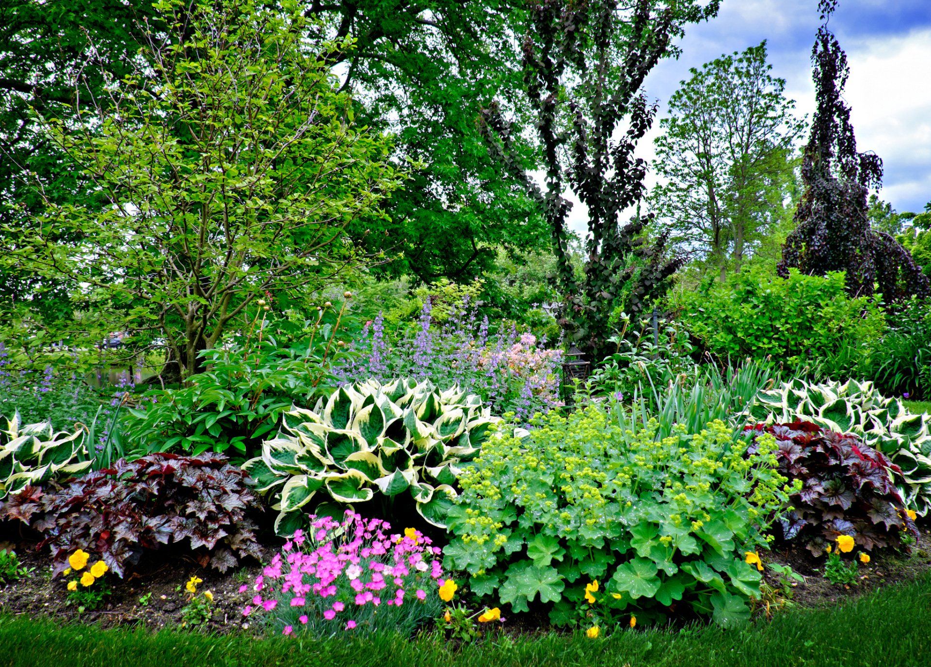 Colorful garden bed with various plants, including hostas and flowers, under a green tree canopy.